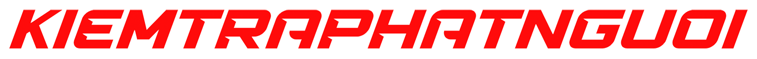 Logo Kiểm Tra Phạt Nguội